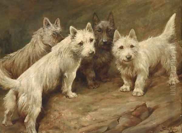 Four Cairn terriers - view 1