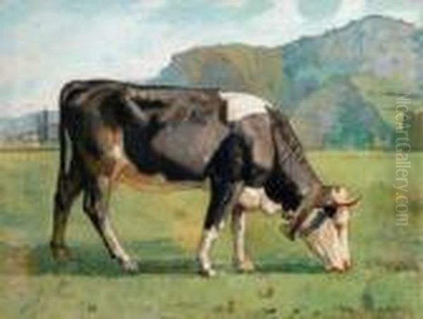 Kuh Auf Der Weide - view 1