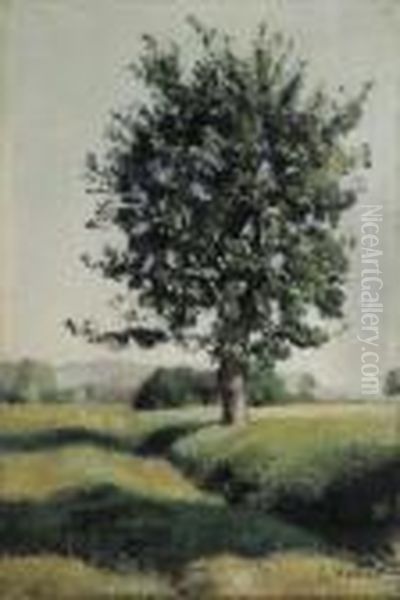 L'arbre - view 1