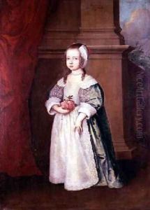 Miss North 1649 by J.C. Meyern