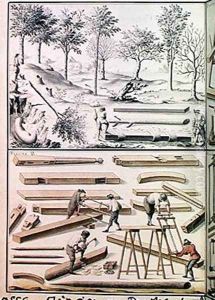 Different species of tree and sawing logs from Traite de Fortifications by Claude Masse