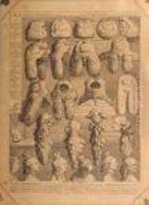 The Five Orders Of Perriwigs by William Hogarth