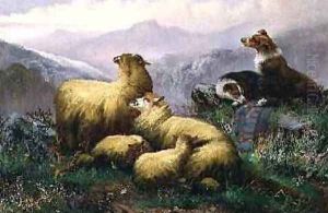 Sheep Dogs and Sheep in the Scottish Highlands by J.W. Morris
