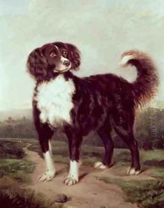 Spaniel by J.W. Morris