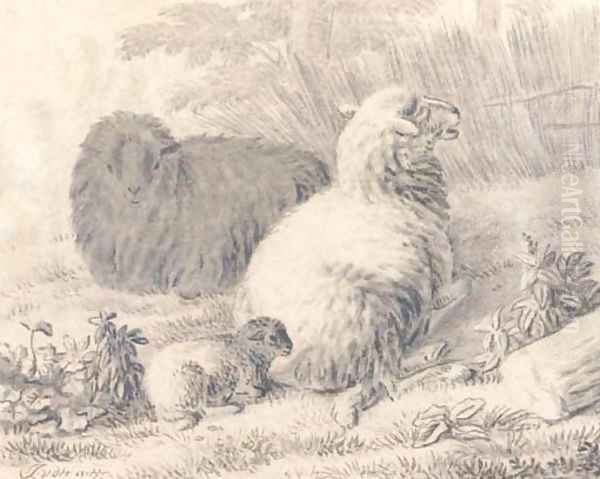 Sheep and a lamb in a meadow - view 1