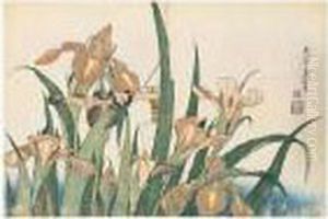 Iris Et Sauterelle by Katsushika Hokusai