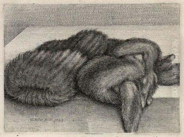 Muff And A Fur Stole On A Table - view 1