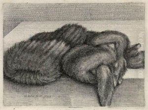 Muff And A Fur Stole On A Table