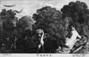 Venus Venus