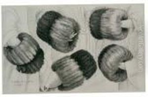 A Muff In Five Views
