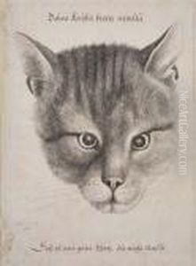 Head Of A Cat
