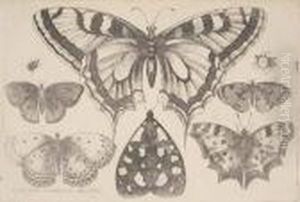 Muscarum Sarabeorum