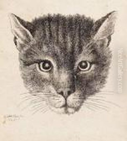 [the Small Cat's Head] - view 1