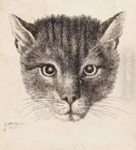 [the Small Cat's Head]