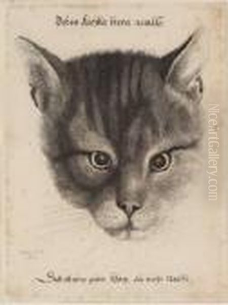[the Large Cat's Head] - view 1
