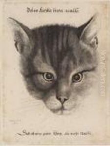 [the Large Cat's Head] by Wenceslaus Hollar