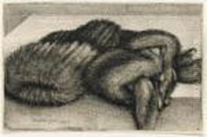Muff And Fur Stole (p.1947) by Wenceslaus Hollar