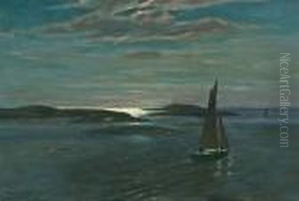 Nattseilas I Ytre Oslofjord - view 1