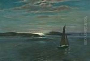 Nattseilas I Ytre Oslofjord