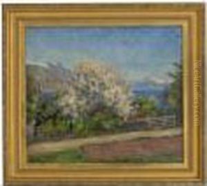 Fruit Blossom,nordland Fruit Blossom,nordland