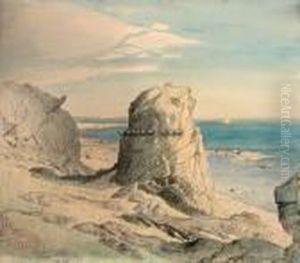 Fra Rauer by Thorolf Holmboe