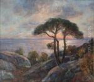 Midnattsol Nordland