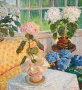 Hagestue Med Hortensia I Potter 1916