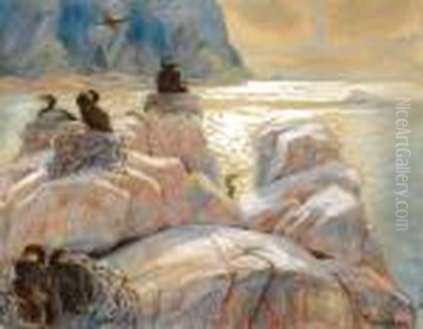 Hekkende Skarv - view 1