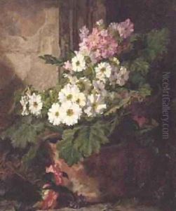Still life of primulas
