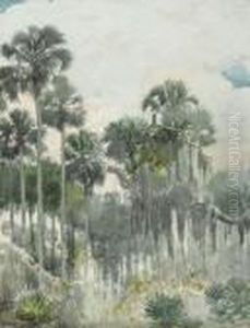 Florida Jungle Signed 'homer' by Winslow Homer
