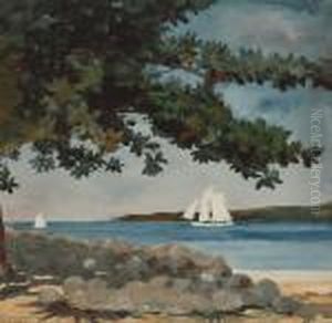 Nassau: Water And Sailboat by Winslow Homer
