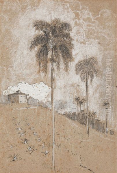 Tropical Landscape - view 1