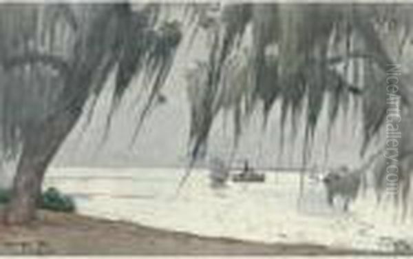 Spanish Moss At Tampa - view 1