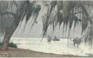 Spanish Moss At Tampa by Winslow Homer