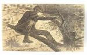 Sharpshooter by Winslow Homer