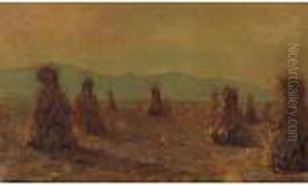 Cornfield - view 1