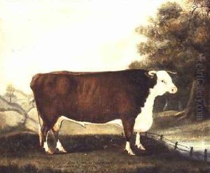 Prize Bull 10 Years Old Named Sovereign Bred by Mr Hewer of Hardwick Salop by J. Miles