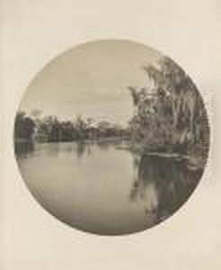 River Scene, Florida, Probably The Homosassa River by Winslow Homer