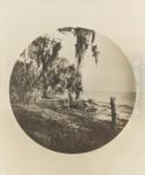 Palm Tree And Beach Scene, Florida Coast - view 1