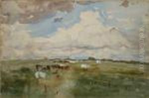 Pastures With Cattle