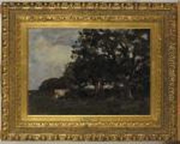 Study - Cows In A Field - view 1
