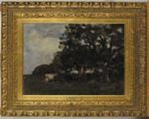 Study - Cows In A Field