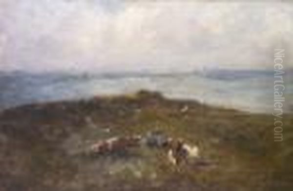 Cattle Resting On A Headland With Distant Yachts - view 1