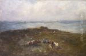 Cattle Resting On A Headland With Distant Yachts