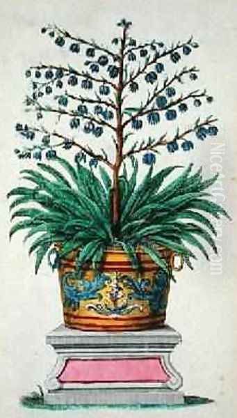 Flowering plant from Phytographia Curiosa - view 1
