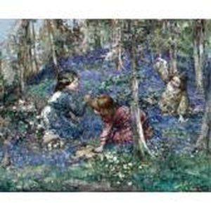 The Bluebell Wood