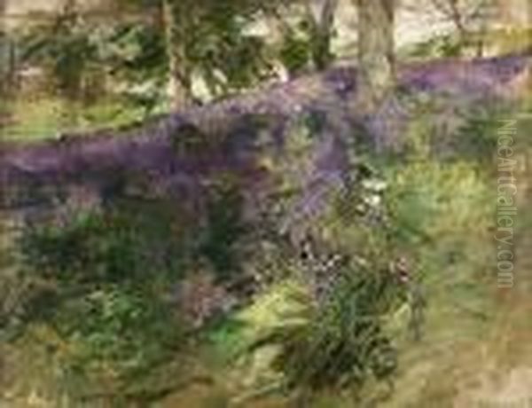 The Bluebell Wood - view 1