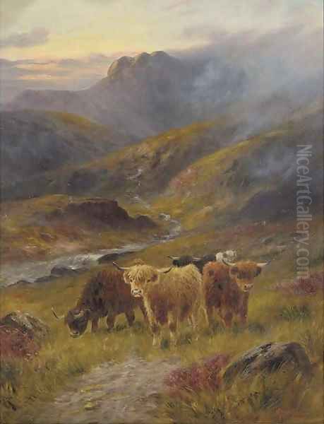 Highland cattle - view 1