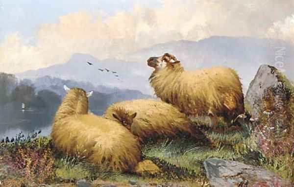 Sheep resting in a mountainous landscape - view 1