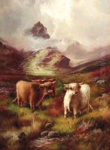 Highland cattle in a mountainous landscape